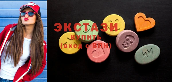 ECSTASY Богородицк