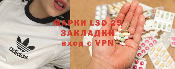 ECSTASY Богородицк