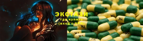 ECSTASY Богородицк